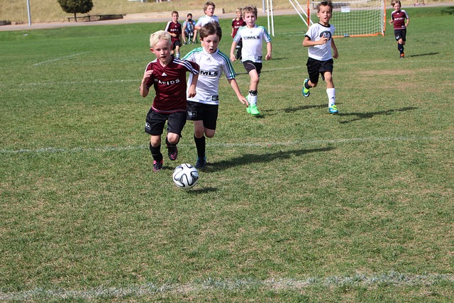 特的体验 特的体验