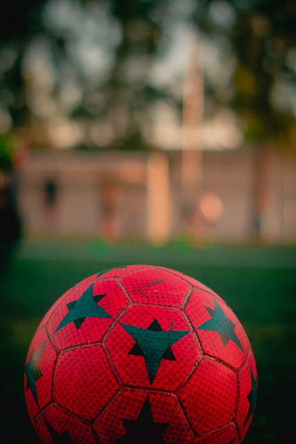 供了新的可 供了新的可