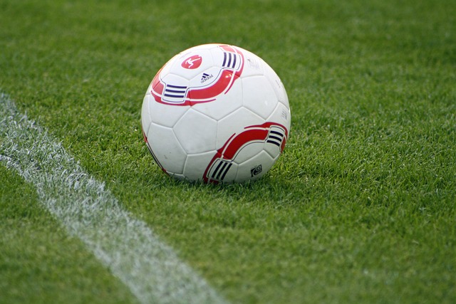 练的指导下 练的指导下