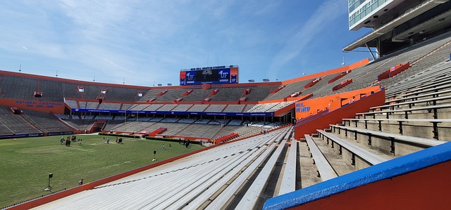 未来之星 未来之星