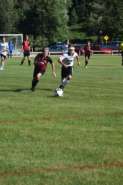 詹金斯善于 詹金斯善于